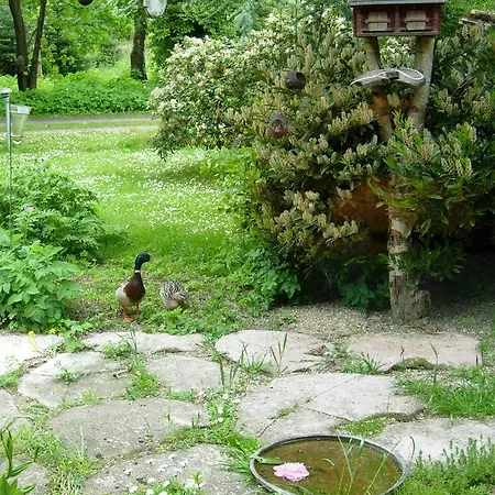 Bed & Breakfast Heddahgaarden