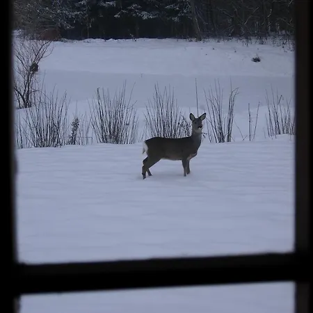 黑达花园住宿加早餐旅馆 Bredal