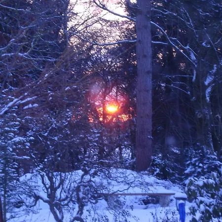 黑达花园住宿加早餐旅馆 住宿加早餐酒店