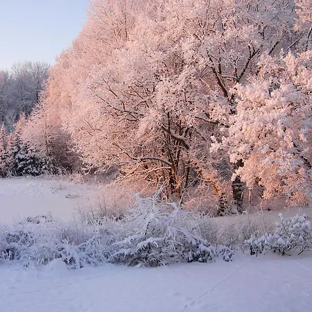 黑达花园住宿加早餐旅馆