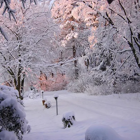 Heddahgaarden Bed and Breakfast *